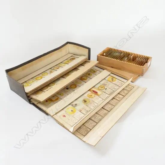 BOX OF VINTAGE MICROSCOPIC DENTAL (HISTOLOGY) SLIDES & ANOTHER SMALL BOX OF SLIDES